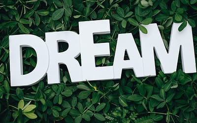 Are You Willing to Do What is Required to Create the Business You Desire?